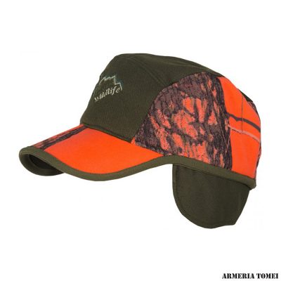 CAPPELLO - TRABALDO - DUCK H.V.