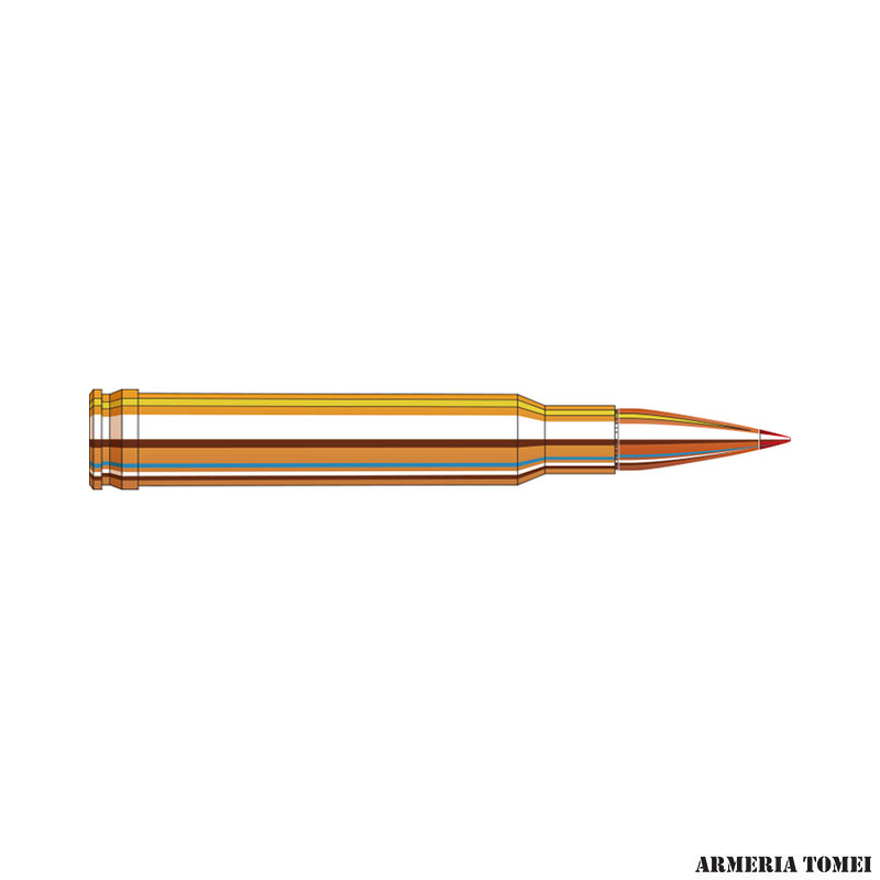 HORNADY - 338 WIN MAG 225GR SST ® SUPERFORMANCE ® - immagine 2