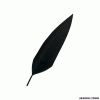 PENNA - CAPPELLO ALPINO - NERO