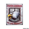 PLACCA IN METALLO 43. POW MIA