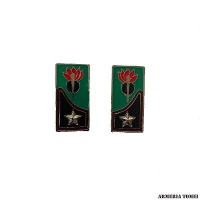 MOSTRINE - GENIO GUASTATORE ALPINO