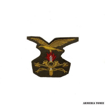 FREGIO - NORVEGE ALPINA GENIO GUASTATORE