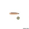 SIERRA - PALLE - GAMEKING 6MM .243 DIA. 100GR SBT (100PZ)