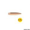 PALLE - SIERRA - 6.5MM .264 DIA. 140GR HPBT MATCHKING (100 PZ)