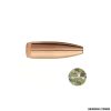 PALLE - SIERRA - .22 CALIBER/.224 DIA - 55 GR. HPBT GAMEKING - 1390