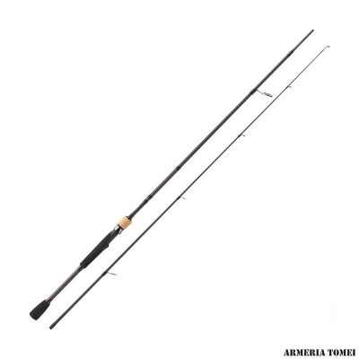BERKLEY - E-MOTION 9' / 274m - 20 / 80 g - H FAST