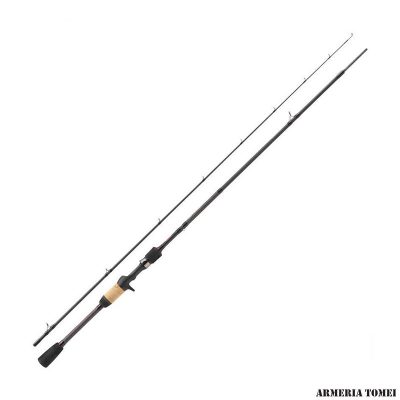 BERKLEY - E-MOTION 6'6" / 1.98 m - 40 / 120 g - XH FAST
