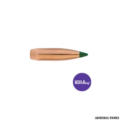 PALLE - SIERRA - 22 CAL. 224" DIA. 69GR TMK TIPPED MATCHKING