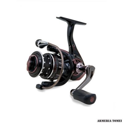 MULINELLI TROUT AREA