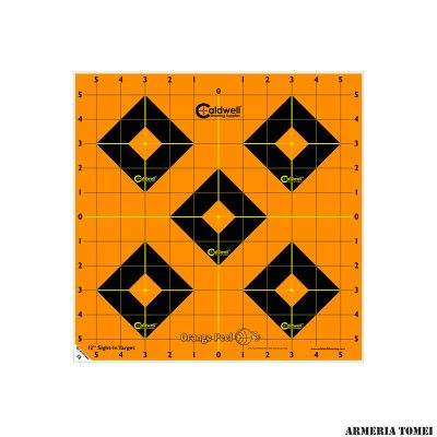 CALDWELL - BERSAGLIO SIGHT IN 12" CONF. 5PZ -244561