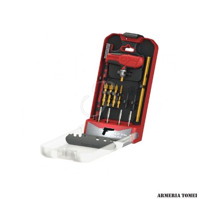 BIRCHWOOD - KIT PULIZIA 16PZ ARMA CORTA