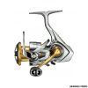 MULINELLO - DAIWA - 21 FREAMS FC LT 1000 S