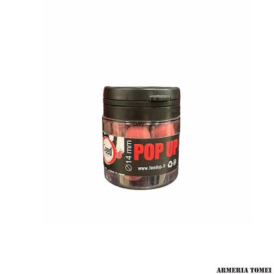 FEED UP - NEVER SLEEP POP UP CURRY WORLD 14mm