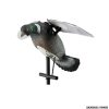 STAMPO - LUCKY DUCK - PIGEON HD ALI BATTENTI