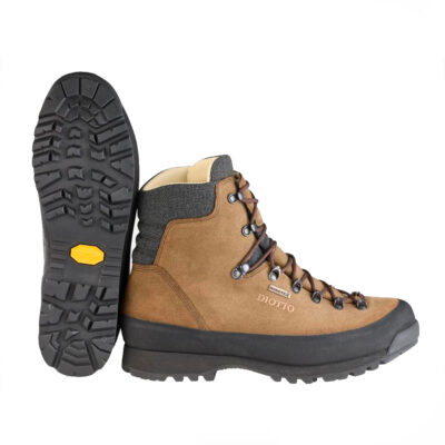 Alternative view of SCARPONI - DIOTTO - EVOLUTION