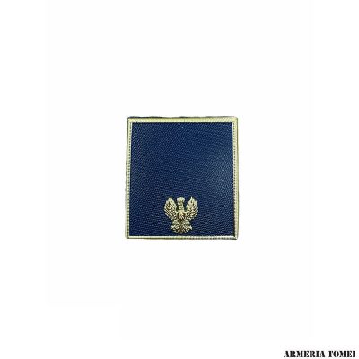 GRADO - POLIZIA DI STATO - AGENTE PS PER POLO