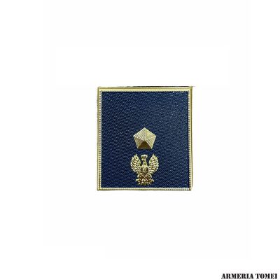 GRADO - POLIZIA DI STATO - VICE ISPETTORE PER POLO