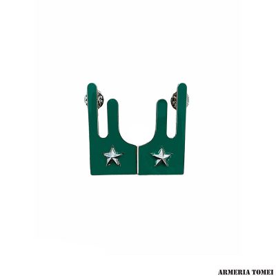 ESERCITO - COPPIA MOSTRINE ALPINI