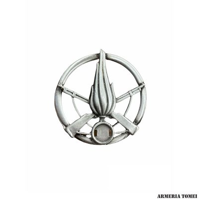 ESERCITO - FREGIO BASCO FANTERIA