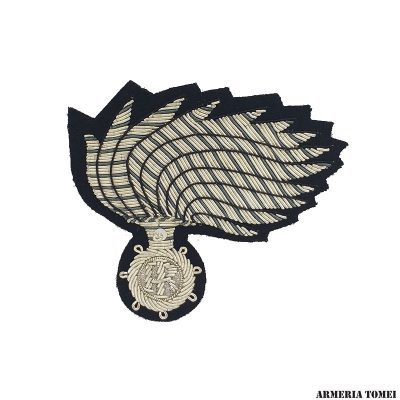 CARABINIERI - FREGIO PASUBIO APPUNTATO QUALIFICA SPECIALE