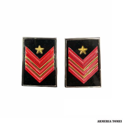 CARABINIERI - GRADI IN METALLO APPUNTATO SCELTO QUALIFICA SPECIALE