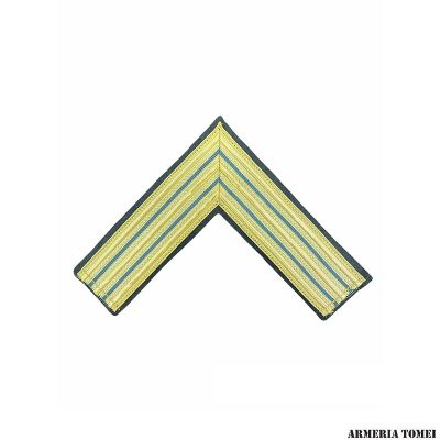 ESERCITO - GRADO CAPPELLO ALPINO CAPITANO