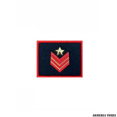 CARABINIERI - GRADO PER JACKET ORDINE PUBBLICO PLASTIFICATO APPUNTATO SCELTO QUALIFICA SPECIALE