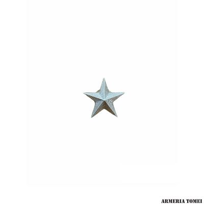 STELLE GRADO ARGENTO (COPPIA)