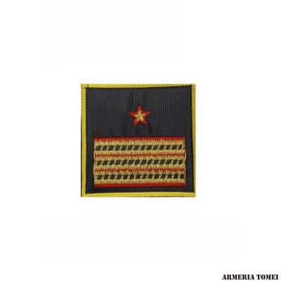 GUARDIA DI FINANZA - GRADO SCRATCH LUOGOTENENTE