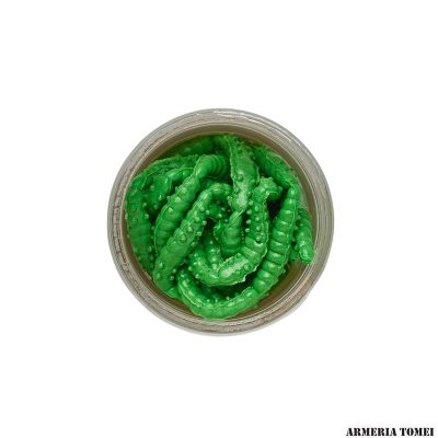 BERKLEY - POWERBAIT POWER HONEY WORM Spring Green 2.5cm (55 pz)