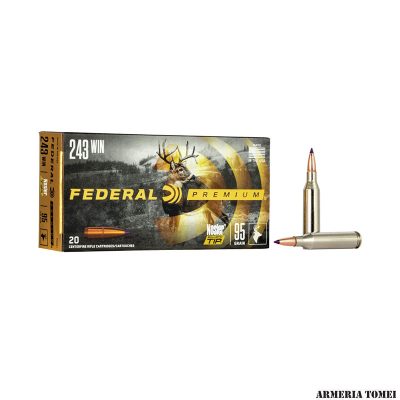 FEDERAL - 243WIN (NOSLER BALLISTIC TIP) 95gr (20PZ) -P243J