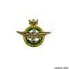 GUARDIA DI FINANZA - DISTINTIVO/SPILLA SERVIZIO AERONAVALE