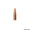 NORMA - PALLE - TIPSTRIKE .30 (.308") 170gr | 11,0g HUNTING BULLET (100 PZ)