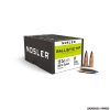 NOSLER - PALLE - BALLISTIC TIP® Hunting 25 Cal (.257") BT 100gr Spitzer 6,4g (50pz) -25100