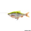 SAVAGE GEAR - 4D LINE-THRU ROACH 25cm 216g SINKING LEMON ROACH