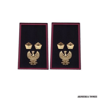 GRADO - POLIZIA DI STATO - COPPIA TUBOLARI ISPETTORE