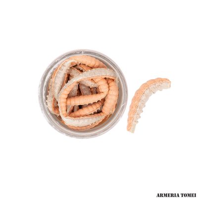 BERKLEY - POWERBAIT POWER HONEY WORM Orange Pearl 55CT 2.5cm 100g