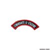 PATCH - CARABINIERI COMANDANTE DI STAZIONE (DIVISA INVERNALE)