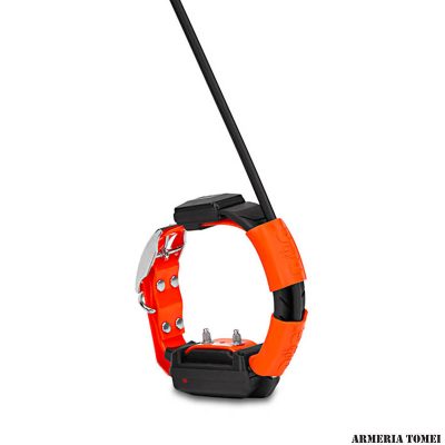 DOG TRACE - COLLARE X30T