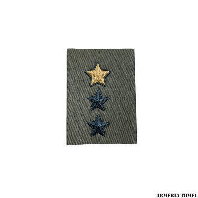 ESERCITO - TUBOLARI TENENTE FUNZIONALE/COMANDANTE
