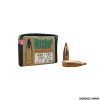 NOSLER - PALLE - 338 CALIBER 180GR BALLISTIC TIP (50PZ) -33180