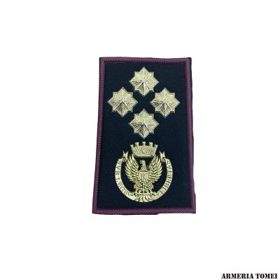 GRADO - POLIZIA DI STATO - COPPIA TUBOLARI PRIMO DIRIGENTE