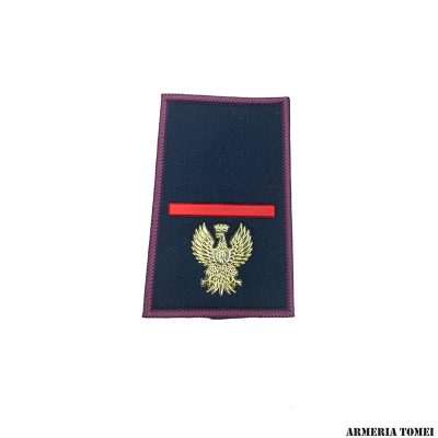 GRADO - POLIZIA DI STATO - COPPIA TUBOLARI AGENTE SCELTO