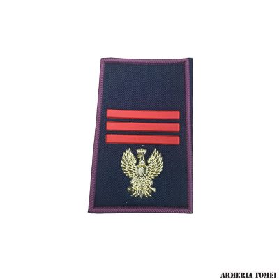 GRADO - POLIZIA DI STATO - COPPIA TUBOLARI ASSISTENTE CAPO