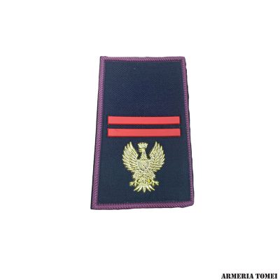 GRADO - POLIZIA DI STATO - COPPIA TUBOLARI ASSISTENTE