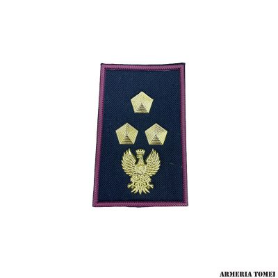 GRADO - POLIZIA DI STATO - COPPIA TUBOLARI ISPETTORE CAPO