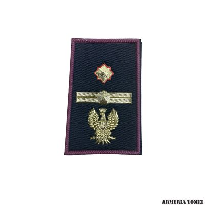 GRADO - POLIZIA DI STATO - COPPIA TUBOLARI SOSTITUTO COMMISSARIO