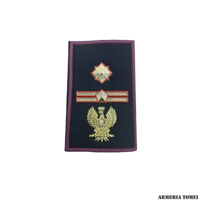 GRADO - POLIZIA DI STATO - COPPIA TUBOLARI SOSTITUTO COMMISSARIO COORDINATORE