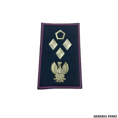 GRADO - POLIZIA DI STATO - COPPIA TUBOLARI SOVRINTENDENTE CAPO COORDINATORE