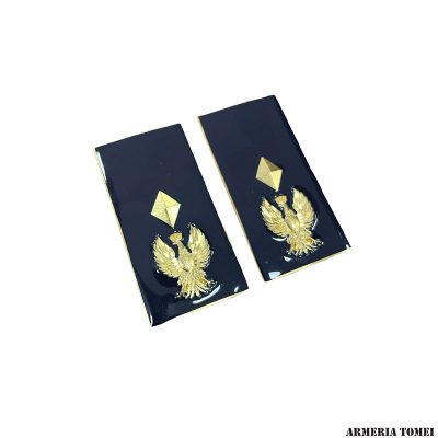 GRADO - POLIZIA DI STATO - COPPIA GRADI METALLO VICE SOVRINTENDENTE